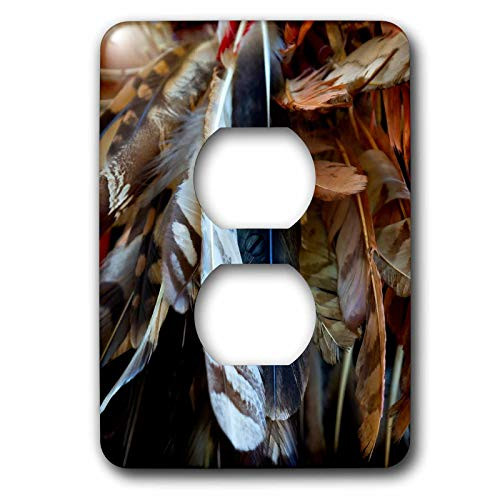 3dRose Image of Bird Feathers. A Decoration of Native American. - Light Switch Covers -LSP-325875-6-