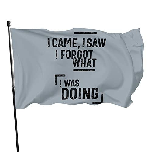 I Came I Saw I Forgot What I Was Doing Fade Resistant Truck Banners Durable Flag For Party Decorations