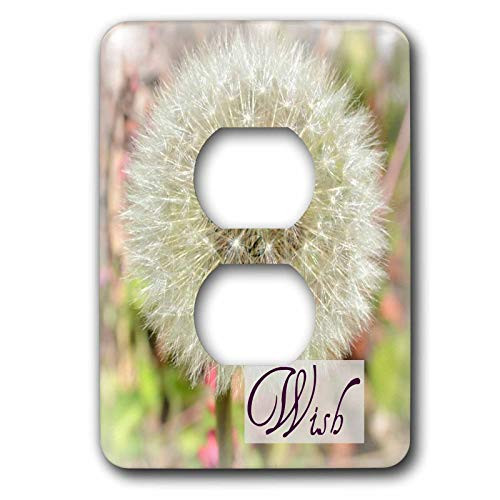 3dRose lsp-31469-6 Dandelion Wish Inspirational Quotes Flowers Outlet Cover, Multi-Color