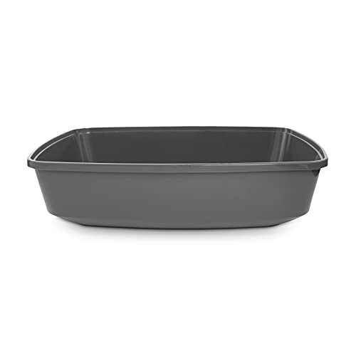 Petco Brand - So Phresh Charcoal Open Cat Litter Box, 19.25" L X 13" X 5" H, Large