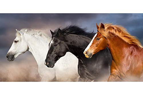 Horses Racing Portrait Stallion Mare Wild Horses Decor Galloping Horses Wall Art Horse Poster Print Poster Horse Pictures Wall Decor Running Horse Breed Poster Cool Huge Large Giant Poster Art 36x54