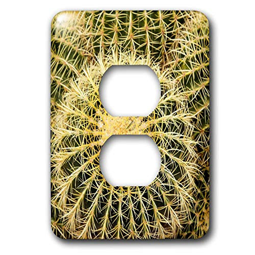 3dRose lsp-314554-6 Light Switch Cover, Tucson, Arizona, USA. Close-up of a cactus
