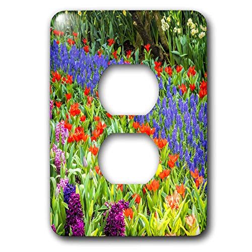 3dRose Danita Delimont - Flowers - Display garden in full bloom - Light Switch Covers -lsp-332995-6-