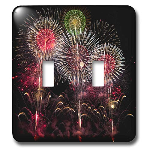 3dRose An exploding display of fireworks in Nagano City, Japan - Light Switch Covers -lsp-343238-2-