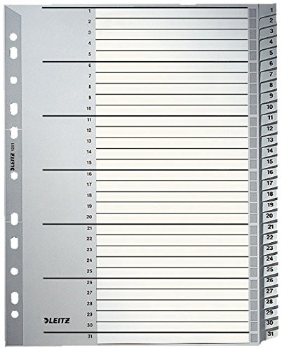 Esselte Leitz 12810000 Plastic Index 1-31 A4 Polypropylene 31 Sheets Grey