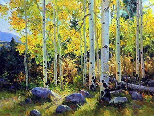 Ssckll DIY Diamond Painting Forest Full Round Rhinestone Diamond Embroidery Full Display Scenic Cross Stitch Mosaic Painting Home Decoration 40x50cm