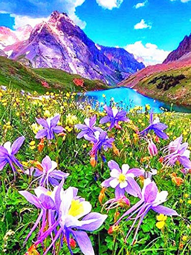 Ssckll DIY Diamond Embroidery Full Display Flowers Cross Stitch Diamond Painting Flower Rhinestones Pictures Diamond Mosaic Painting 40x50cm