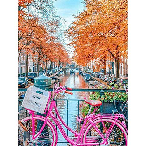 Painting with Diamonds Bike 5D Diamond Embroidery Full Display Diamond Mosaic Landscape Picture of Rhinestone Handmade 11.8 x 15.8 Inch