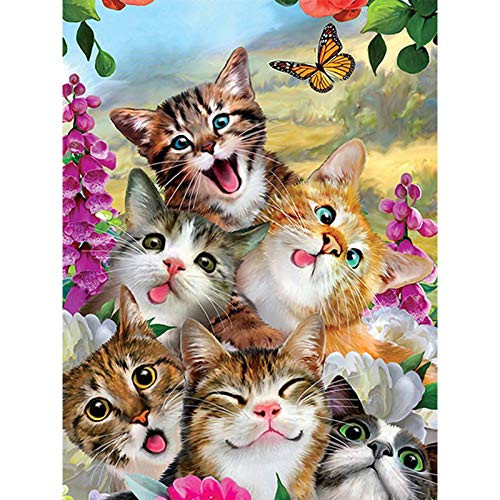 LUANXP 5D Diamond Painting Cat Diamond Embroidery Full Display Animal Mosaic Full Round Rhinestone of Picture Butterfly 30X40CM