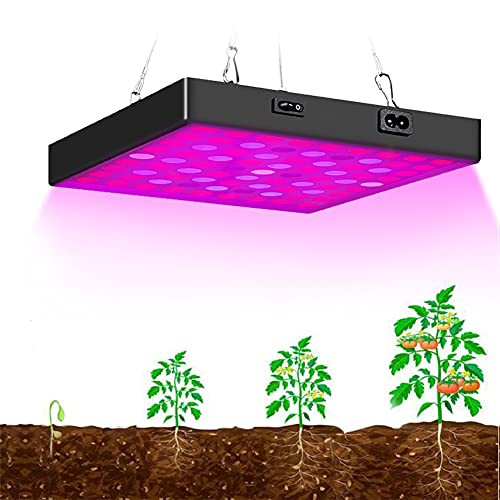 LED Grow Light Full Spectrum Panel Plant Grow Lamp, 100W LED Plant Growing Light Lamp with UV and IR for Indoor Plants, Succulents, Seedlings, Veg and Flower -LEDs 169PCs- LED Grow Light Full Spectrum Panel Plant Grow Lamp, 100W LED Plant Growing Light Lamp with UV and IR for Indoor Plants, Succulents, Seedlings, Veg and Flower -LEDs 169PCs-