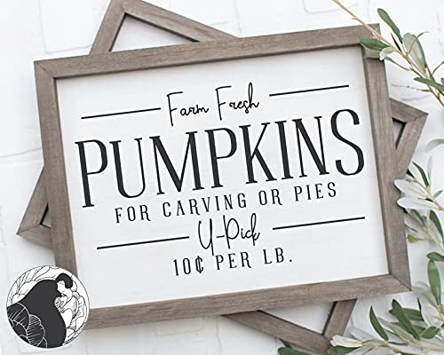 Tamengi Farm Fresh Pumpkins SVG, Pumpkin SVG, Fall SVG, Cut Files, Vinyl Designs, Htv File, Digital Download, SVG, DXF, PNG, Silhouette