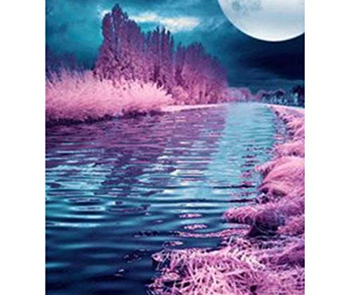 Moon Full Display Round Animal 5D Diamond Painting Diamond Embroidery Diamond Mosaic Cross Stitch Daimond Gift 12x16" Frameless