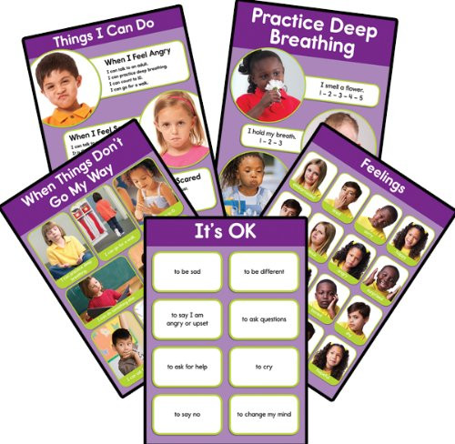 Carson Dellosa Key Education Feelings Bulletin Board Set (810001)