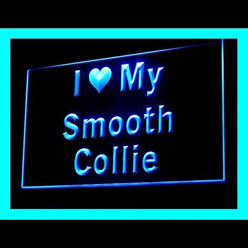 210124 I Love My Smooth Collie Training Trespassing Display LED Light Neon Sign