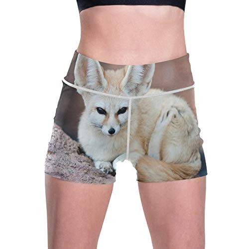 Yoga Shorts for Women,Wild Animals Big Eared Fox Unique Women's Athletic Shorts Yoga Workout Running Short