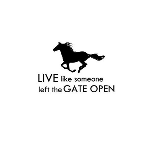 aluckyhorseshoe Horse Vinyl Wall Decal Mustang Quote Wall Words Sticker Girls Room Decor Kids Western Wall Decor College Student Dorm Room -18 X 28 inches-