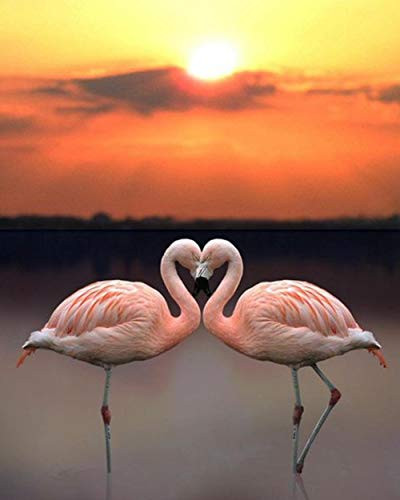 New 5D DIY Diamond Painting Stones Pink Flamingo Love Diamond Embroidery Sale Diamond Full Circular Display Home Decor 30X40CM