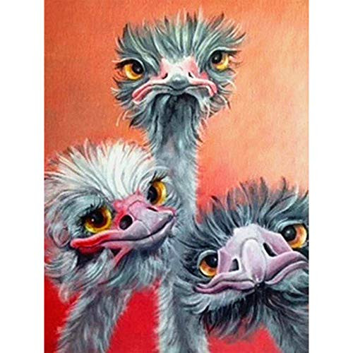 Mshzf DIY 5D Diamond Painting Kit Embroidery Full Display Animal Mosaic Cross Stitch Full Round Rhinestone Picture 30X40Cm?12X16Inch?