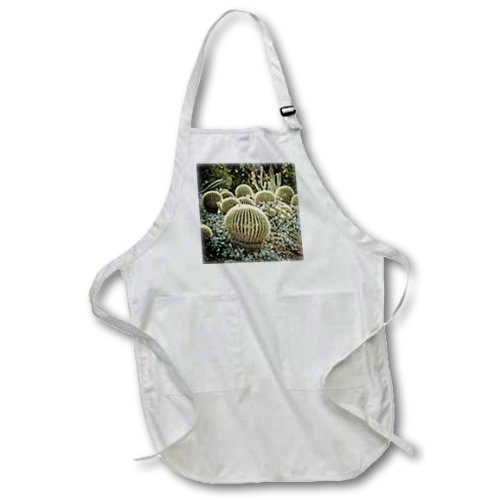 3dRose Boehm Photography Plant - Cactus Garden Ball Cactus - Waist Apron with Pockets -apr-12672-3-