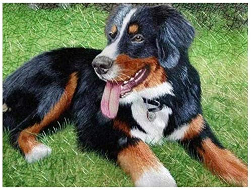 5D Full Diamond Diamond Painting Set Diamond Painting Animal Dog Grass Embroidery Full Display Rhinestone Mosaic Home Decoration Gift 40x50Cm