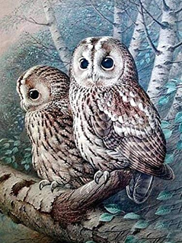5D Full Diamond Diamond Painting Set Diamond Painting Embroidery Diamond Painting Animal Picture Rhinestone Mosaic Complete Display Diamond Embroidery Solid 40x50Cm