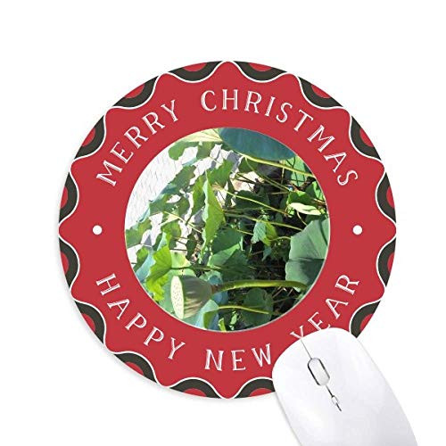 Lotus Lake Pool Mouse Pad Merry Christmas Round Rubber
