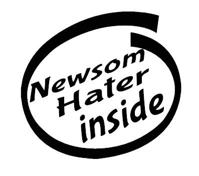 Check Custom Design Newsom Hater Inside Decal