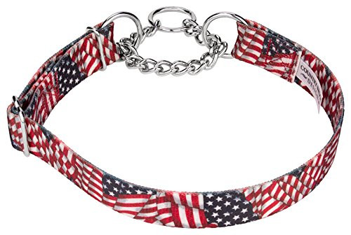 Country Brook Design Patriotic Tribute Half Check Dog Collars - Extra Large