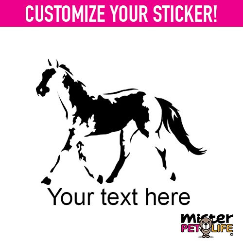 Mister Petlife Personalized Paint Horse Sticker Vinyl Chose Color Custom Made American Black