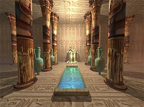 Leowefowa 9X6FT Ancient Egyptian Temple Backdrop Old Interior Tomb Backdrops for Photography Egypt Mural Painting Vinyl Photo Background Pharaoh Culture Studio Props