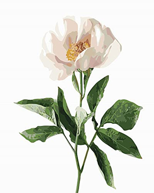 DIY Color Paint by Numbers for Adults Beginner and Kids?Flowers Paint by Number Kits On Canvas Watercolor Painting Kit Acrylic Paint Kits Oil Adult Crafts 16x20 Inchs -40x50cm- DIY Color Paint by Numbers for Adults Beginner and Kids?Flowers Paint by Number Kits On Canvas Watercolor Painting Kit Acrylic Paint Kits Oil Adult Crafts 16x20 Inchs -40x50cm-