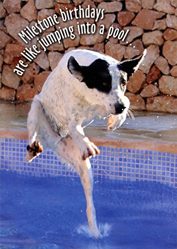 Dog Jumping Into Pool: 60th - Oatmeal Studios Funny Birthday Card