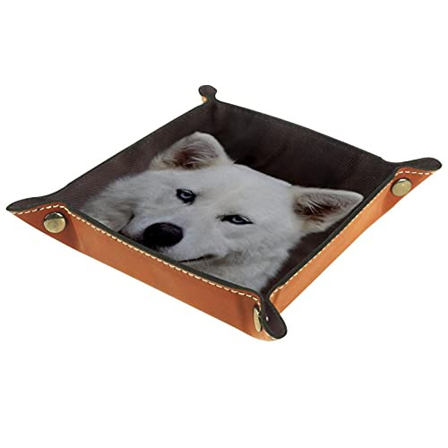 Leather Valet Tray Multi-Purpose storage box Tray Organizer Used for storage of small accessories-dog white Husky