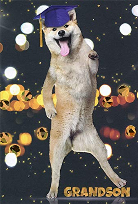 Pictura Dancing Pup Wearing Blue Mortarboard Cap Graduation Congratulations Card for Grandson Pictura Dancing Pup Wearing Blue Mortarboard Cap Graduation Congratulations Card for Grandson