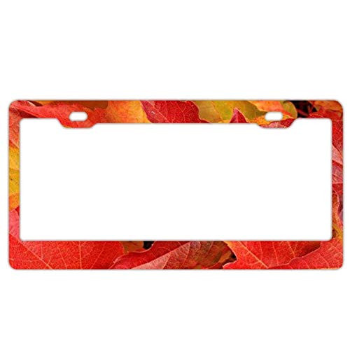 DKISEE Aluminum License Plate Frame Red Maple Leaves Tablet License Plate Decoration Cover Auto Tag Holder 6"X12"