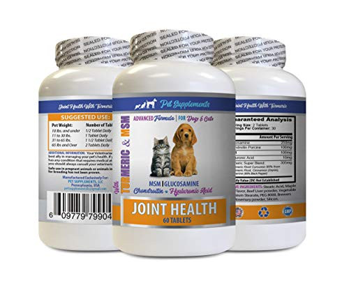 Senior cat Supplement - Pets Turmeric Joint Health - for Dogs and Cats - Advanced Complex - cat glucosamine Treats - 1 Bottle -60 Tablets-