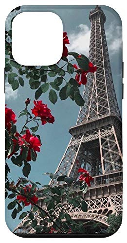 iPhone 12 mini Eiffel Tower In Paris France Roses Phone Cover Case