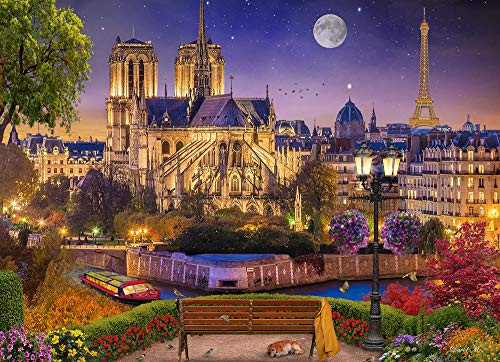 Notre Dame Night Jigsaw Puzzle 1000 Piece