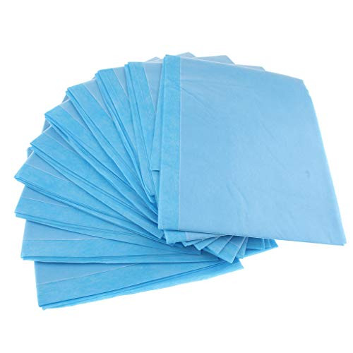 dailymall 10 Pieces Massage Bed Tattoo Table Hospital Nursing Bed Sheets Mats Pads - M