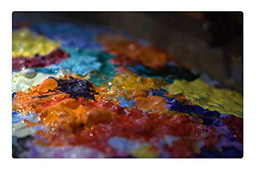 LESGAULEST Doormat Floor Rug/Mat -23.6 x 15.7 inch- - Color Artist Blue Paint Colorful Artistic Texture LESGAULEST Doormat Floor Rug/Mat -23.6 x 15.7 inch- - Color Artist Blue Paint Colorful Artistic Texture