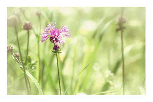 LESGAULEST Doormat Floor Rug/Mat -23.6 x 15.7 inch- - Image Painting Painted Paint Meadow Nature LESGAULEST Doormat Floor Rug/Mat -23.6 x 15.7 inch- - Image Painting Painted Paint Meadow Nature