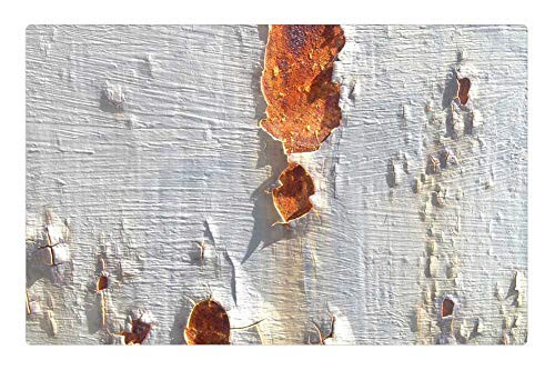 LESGAULEST Doormat Floor Rug/Mat -23.6 x 15.7 inch- - Rust Texture Surface Broken Paint White