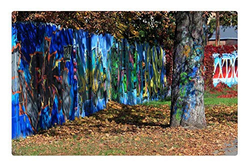 LESGAULEST Doormat Floor Rug/Mat -23.6 x 15.7 inch- - Graffiti Street Art Colors Paint Spray Wall Color LESGAULEST Doormat Floor Rug/Mat -23.6 x 15.7 inch- - Graffiti Street Art Colors Paint Spray Wall Color