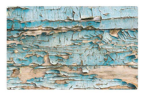 LESGAULEST Doormat Floor Rug/Mat -23.6 x 15.7 inch- - Background Old Texture Paint Surface Wood 2