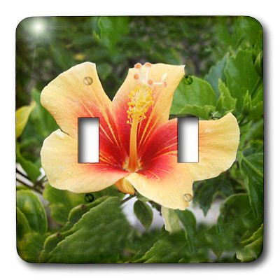 3dRose lsp_1251_2"Red and Yellow Hibiscus" Double Toggle Switch