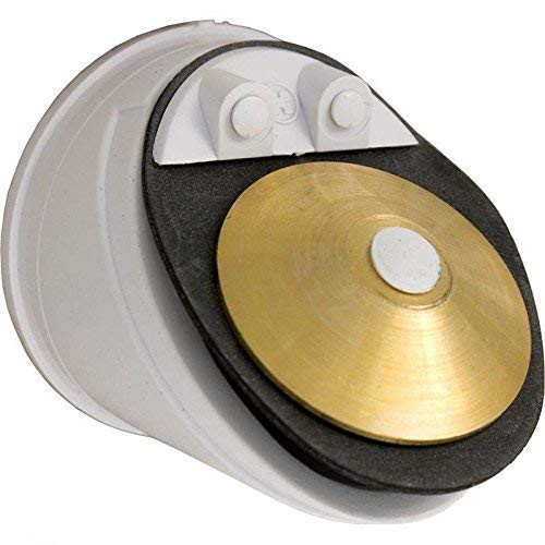 Hayward Genuine ECX4077B1 Check Valve EC30 EC40 EC65 Perflex ReGenx StarClear