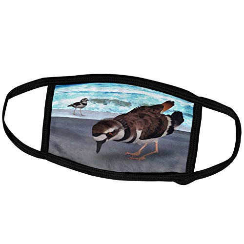 3dRose Boehm Digital Paint Bird - Killdeer Birds on Beach - Face Masks -fm-50993-2-