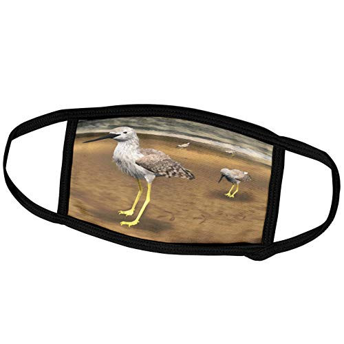 3dRose Boehm Digital Paint Bird - Lesser Yellowlegs Birds on Beach - Face Covers -fc-50994-2-