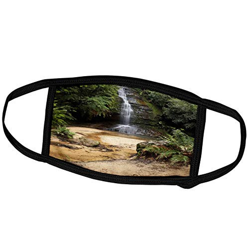 3dRose Pool of Siloam- Waterfall- New South Wales- Australia - AU01. - Face Covers -fc-133350-1-