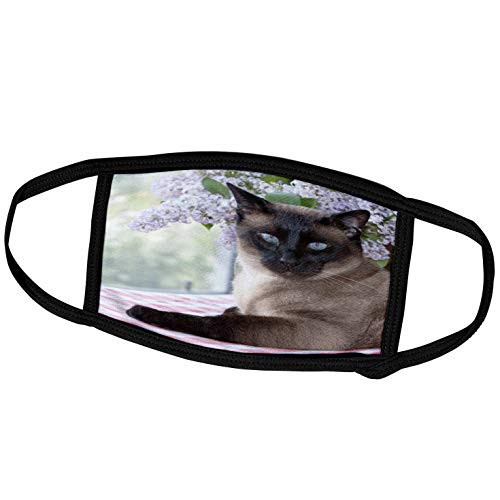 3dRose Siamese cat on Tablecloth with Lilacs - NA02 PWO0102 - PiperAnne. - Face Covers -fc-140344-2- 3dRose Siamese cat on Tablecloth with Lilacs - NA02 PWO0102 - PiperAnne. - Face Covers -fc-140344-2-